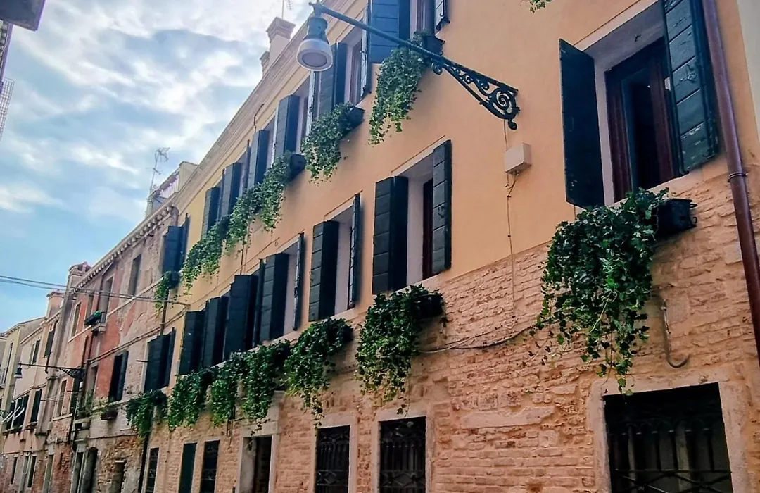 Venice Parsley-1